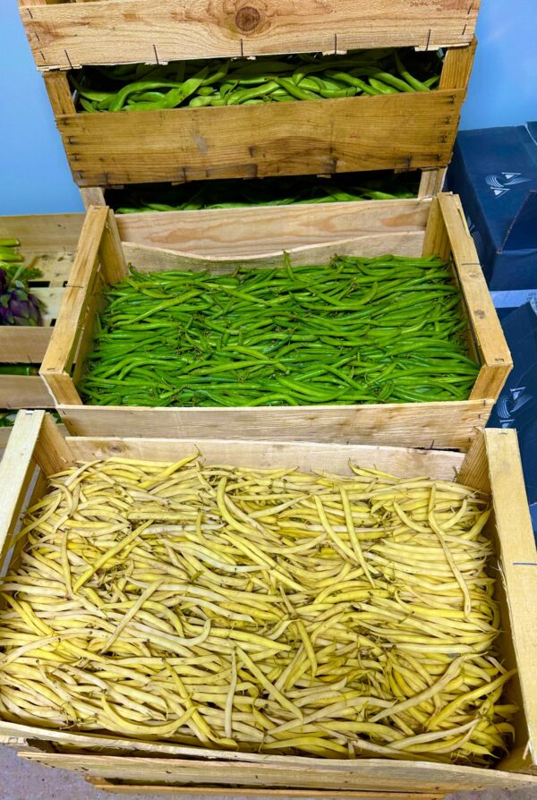 Haricots verts